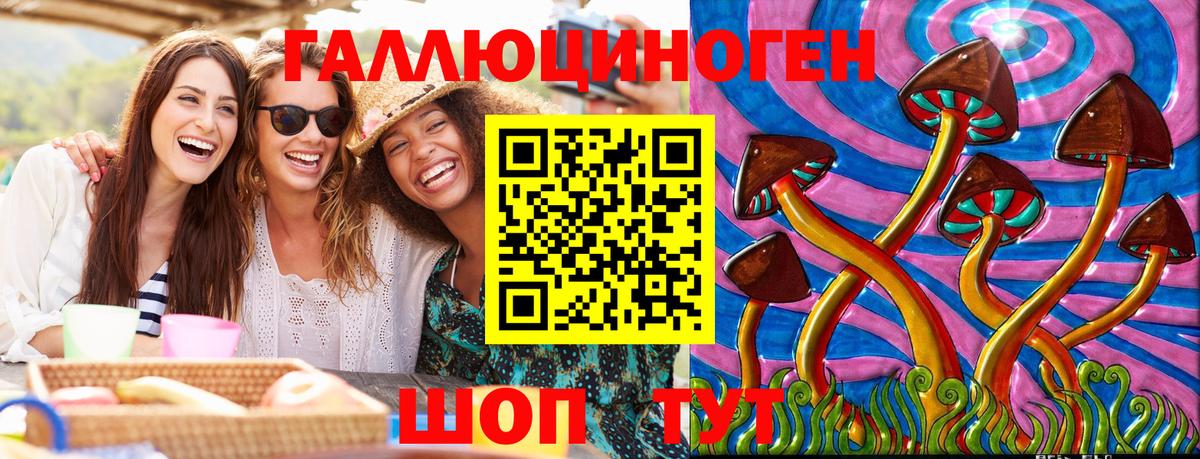 Псилоцибиновые грибы GOLDEN TEACHER  Вход с VPN  Ставрополь 