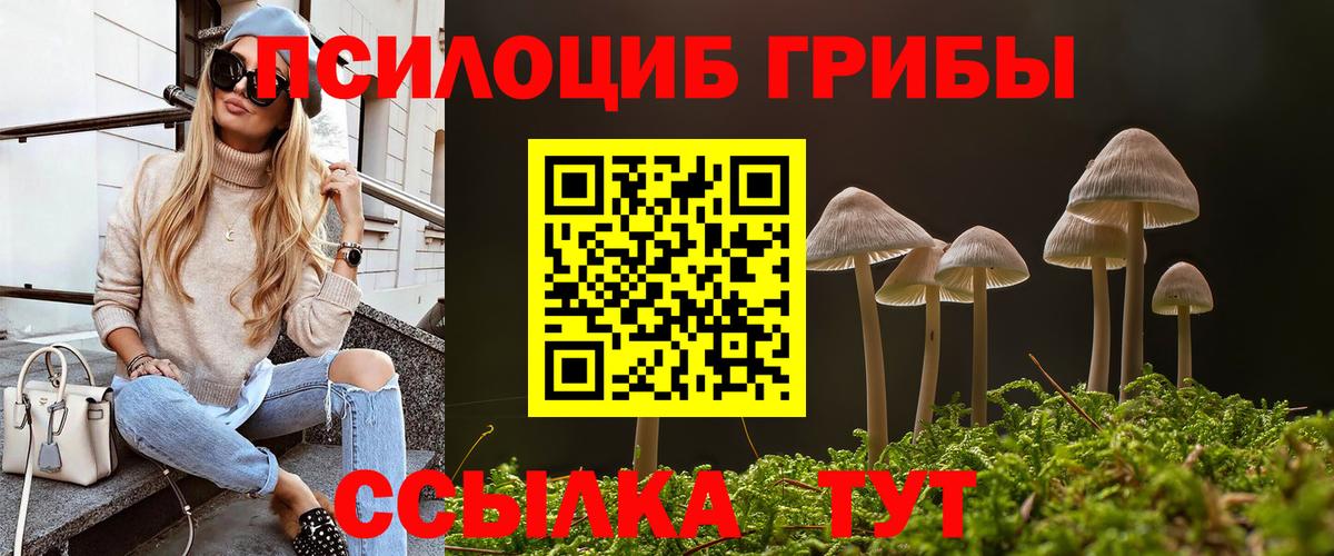 Галлюциногенные грибы GOLDEN TEACHER Ставрополь