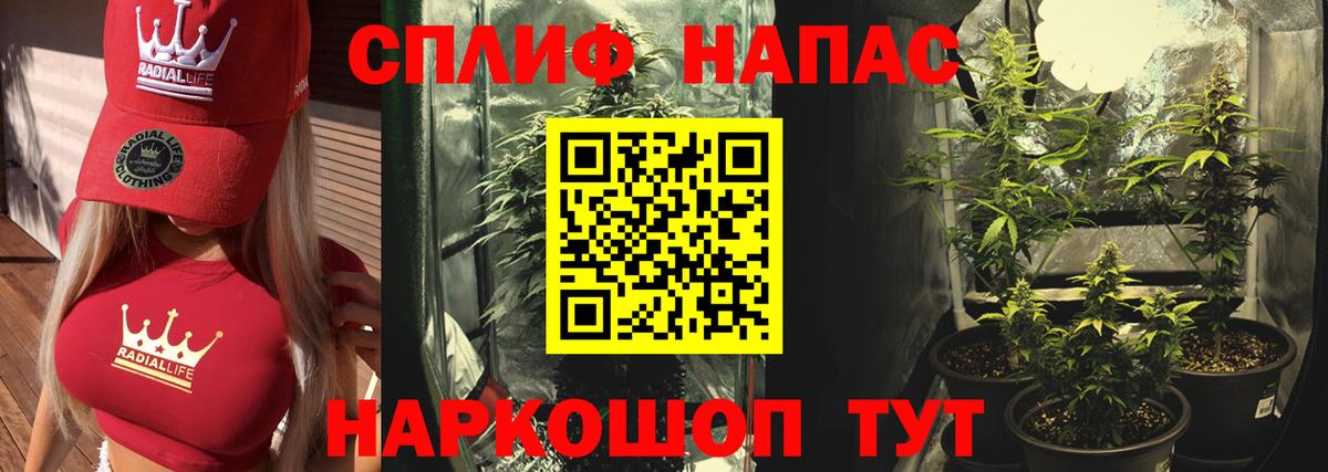 Марихуана OG Kush  Вход с VPN  Ставрополь  Канабис Amnesia  Каннабис план  Бошки марихуана LSD WEED 